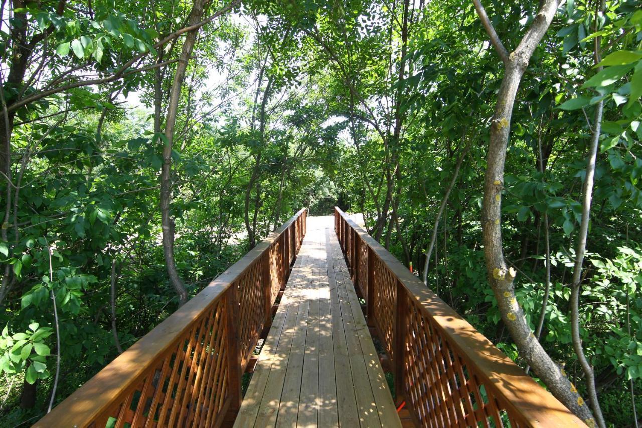 Bibic Nature Lodge Balmazújváros Esterno foto